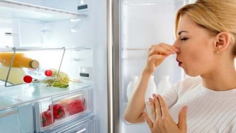 Nguyên nhân và cách khắc phục tủ lạnh có mùi hôi khó chịu