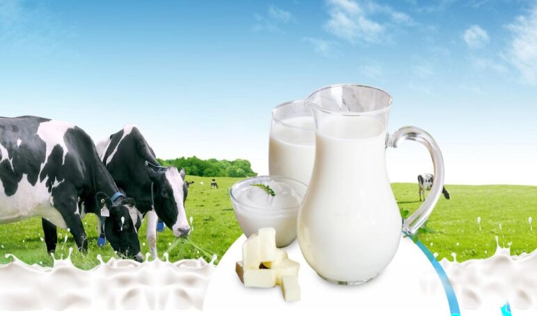 Vậy sữa bột A2 nguyên kem có tốt không?