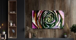 Đánh giá chi tiết chiếc Smart Tivi 4K LG 86 inch 86QNED91PTA Nanocell MiniLED ThinQ AI