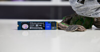 Đánh giá chi tiết ổ cứng WD SSD có tốt không?
