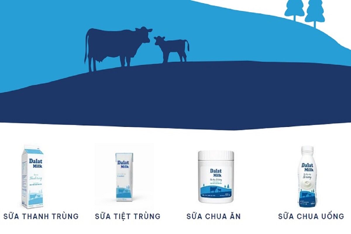 Đánh giá chi tiết sữa Dalat Milk chuẩn thương hiệu Việt
