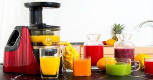 Đánh giá chi tiết top 3 máy ép chậm Hongxin được săn đón nhất hiện nay