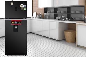 Đánh giá chi tiết tủ lạnh LG Inverter 394 lít GN-D392BLA