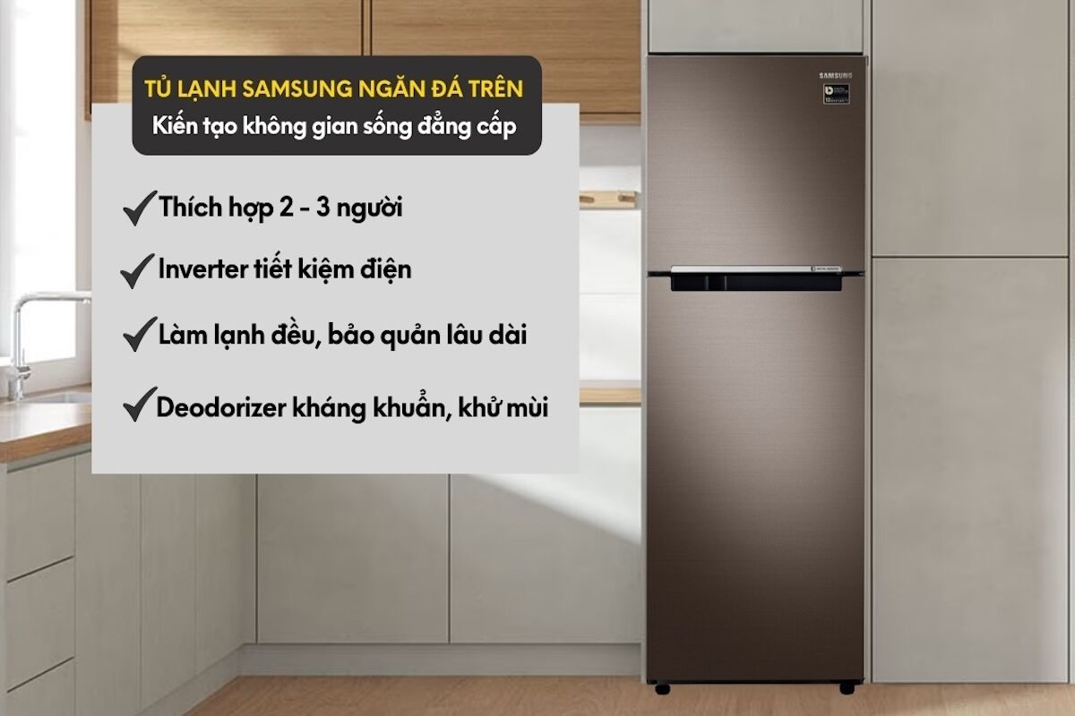 Tủ lạnh 2 cửa Samsung RT22M4032DX/SV - Đơn giản, sang trọng