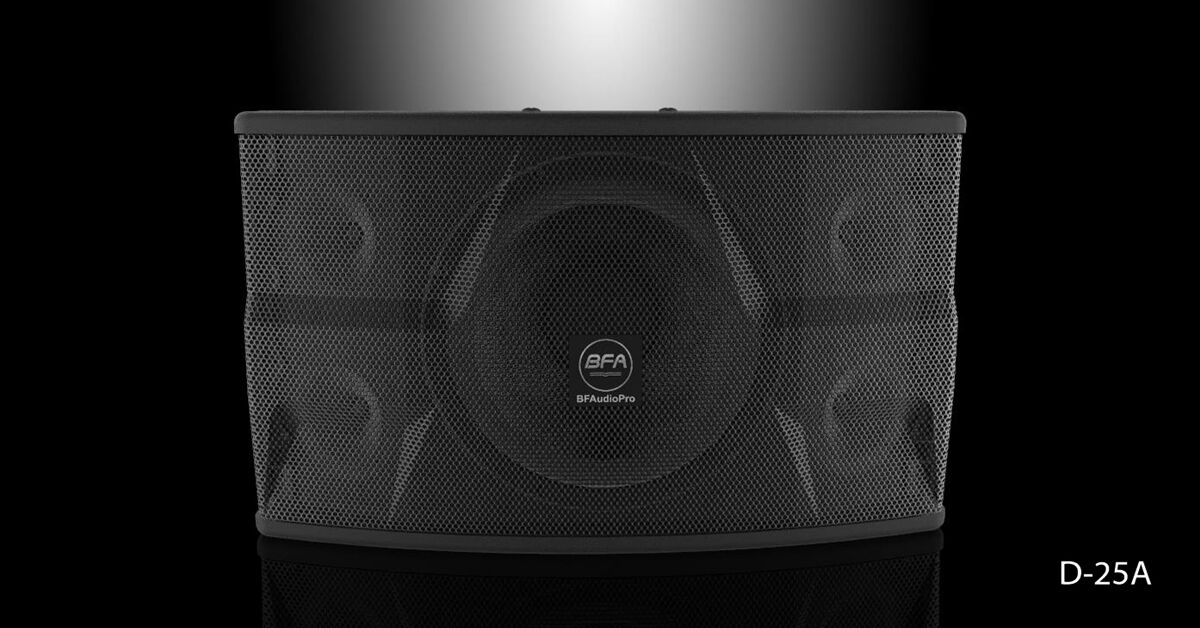 Đánh giá loa karaoke BFAudio D25A
