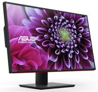 Đánh giá màn hình máy tính Asus PA246Q 24 inches IPS