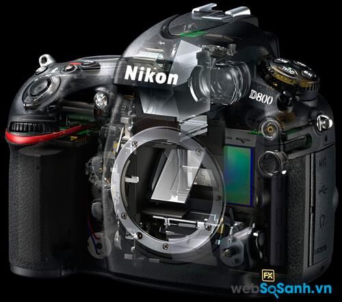 Đánh giá máy ảnh DSLR Nikon D800: máy ảnh độ phân giải cao cho nhiếp anh gia chuyên nghiệp