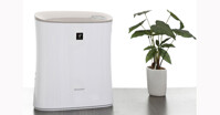 Đánh giá máy lọc không khí giá rẻ Sharp FP-F30E-A/C: có nên mua không?