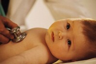 Đánh giá miếng dán hạ sốt Pigeon có tốt không, giá bán, cách dùng