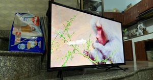 Đánh giá những công nghệ hình ảnh hiện đại trên chiếc tivi TCL 32S6300