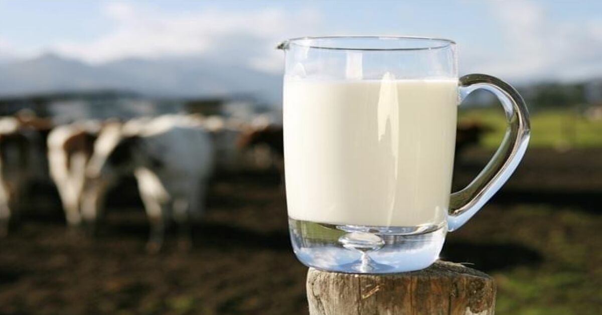 Đánh giá sữa non Colostrum có tốt không? Có tác dụng gì? Giá cả và cách dùng chi tiết