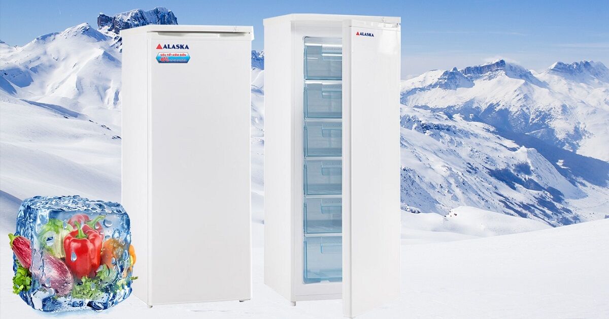 Đánh giá: Tủ đông Alaska IF-21 có tốt không?