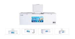 Đánh giá tủ đông Hòa Phát có tốt không? Có mấy loại? Giá bao nhiêu tiền?