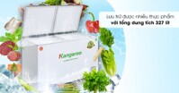 Đánh giá tủ đông Kangaroo 327 lít KG498KX2 có tốt không?