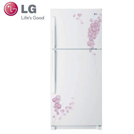 Đánh giá tủ lạnh giá rẻ LG GN-155PG