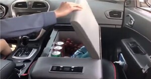 Đánh giá tủ lạnh mini Alpicool dùng trên ô tô có tốt không? Các loại và giá cả chi tiết