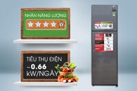 Đánh giá tủ lạnh Sharp Inverter 271 lít SJ-X281E-DS có tốt không