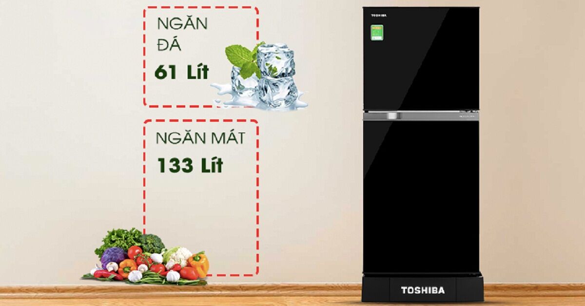 Đánh giá tủ lạnh Toshiba 2 cánh chi tiết ưu nhược điểm