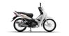Đánh giá xe máy Honda Wave Alpha 2021 mới nhất