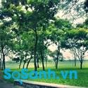 Dạo quanh một vòng công viên Yên Sở - điểm đến dã ngoại cuối tuần lý tưởng