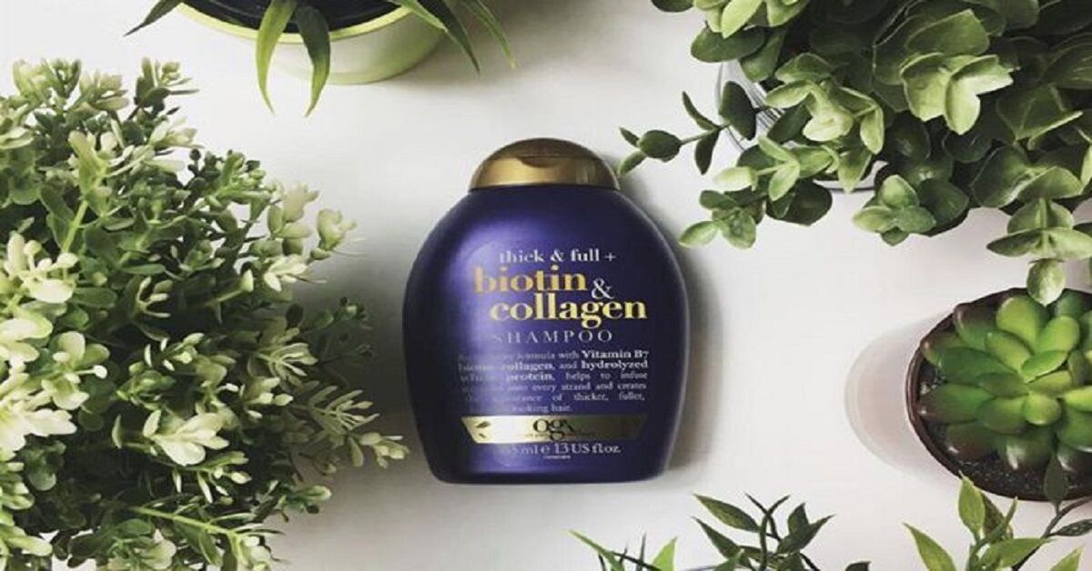 Dầu gội Biotin có tốt không? Nên lựa chọn dầu gội Biotin loại nào?