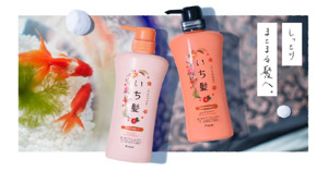 Dầu gội Ichikami loại nào tốt nhất? Có tốt không?