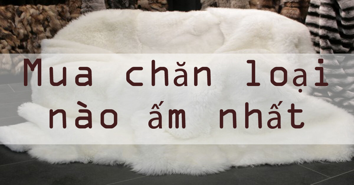 Đây chính là những loại chăn ấm nhất được nhiều người "lùng sục" tìm mua