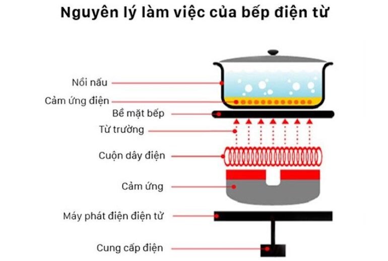 Nguyên lý hoạt động của bếp từ