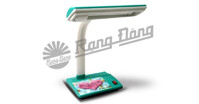 Đèn bàn học Rạng Đông có tốt không? Có đắt không?