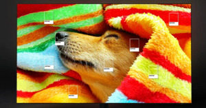 Điểm mặt 4 công nghệ hình ảnh cao cấp trên tivi 65 inch Samsung QA65Q60C