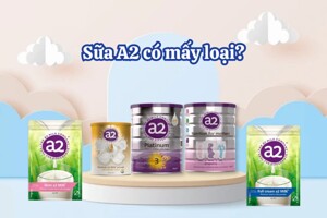 Điểm mặt 5 loại sữa tươi A2 dạng bột nổi tiếng hiện nay