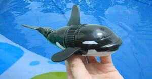 Đồ chơi cá mập là gì? Mẫu đồ chơi cá mập nào an toàn cho trẻ?