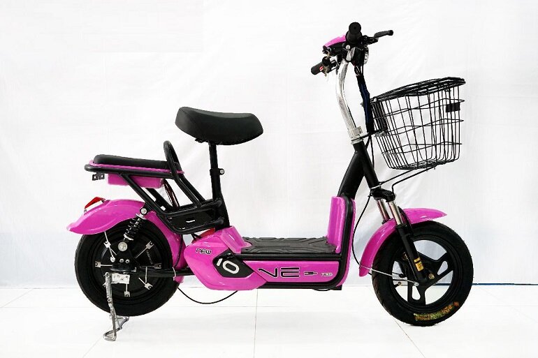 xe đạp điện mini