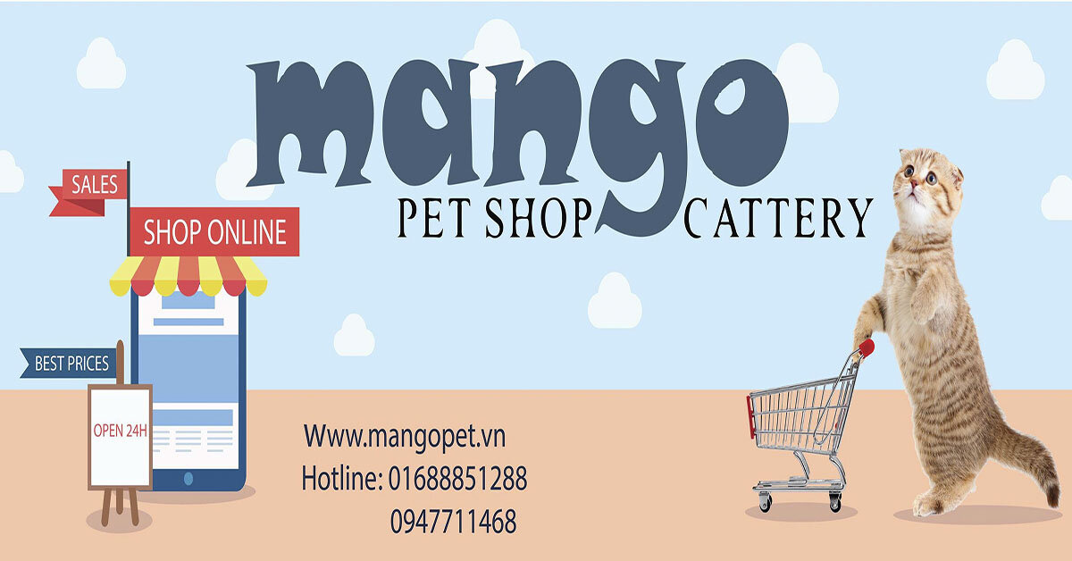 ĐƯA THÚ CƯNG ĐI KHẮP THẾ GIAN VỚI TÚI VẬN CHUYỂN MANGO CỰC CHẤT
