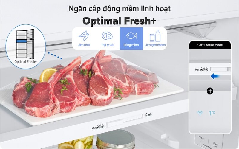 Tủ lạnh Samsung Inverter 305 lít RT31CG5424B1SV này được trang bị ngăn đông mềm Optimal Fresh+