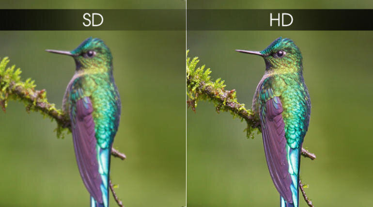Độ phân giải HD đem lại những hình ảnh sắc nét