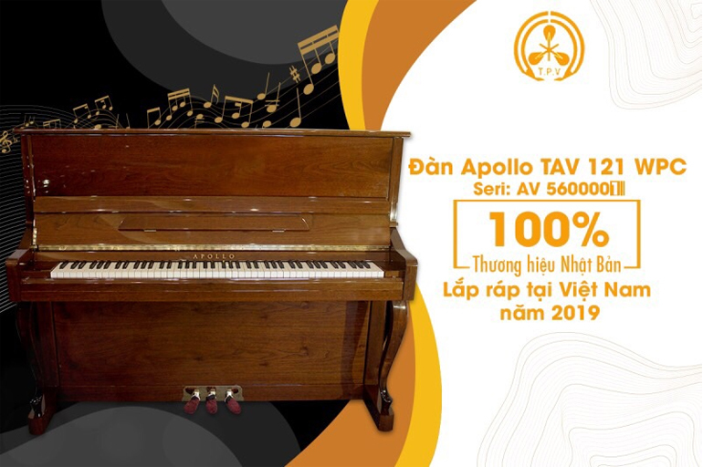 Đàn piano Apollo TAV121WPC