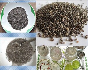 Giá hạt chia cập nhật mới nhất là bao nhiêu tiền?