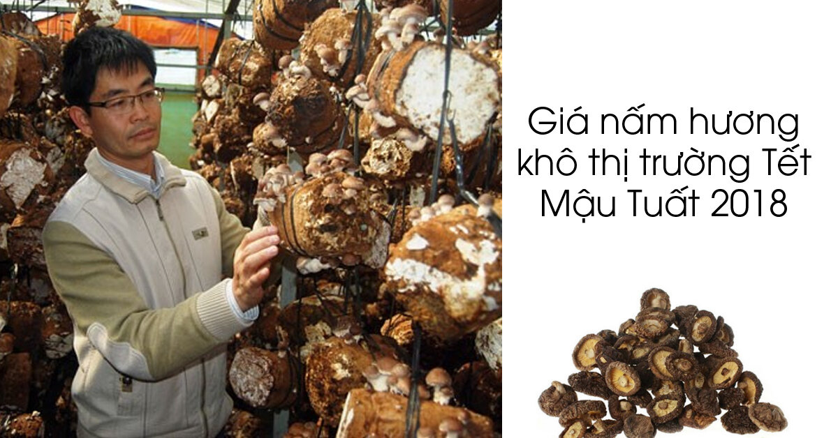 Giá nấm hương khô trên thị trường dịp Tết âm lịch Mậu Tuất 2018 bao nhiêu ?