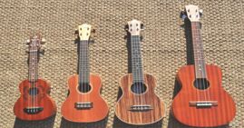 Giải đáp thắc mắc đàn Ukulele là gì cho người mới bắt đầu