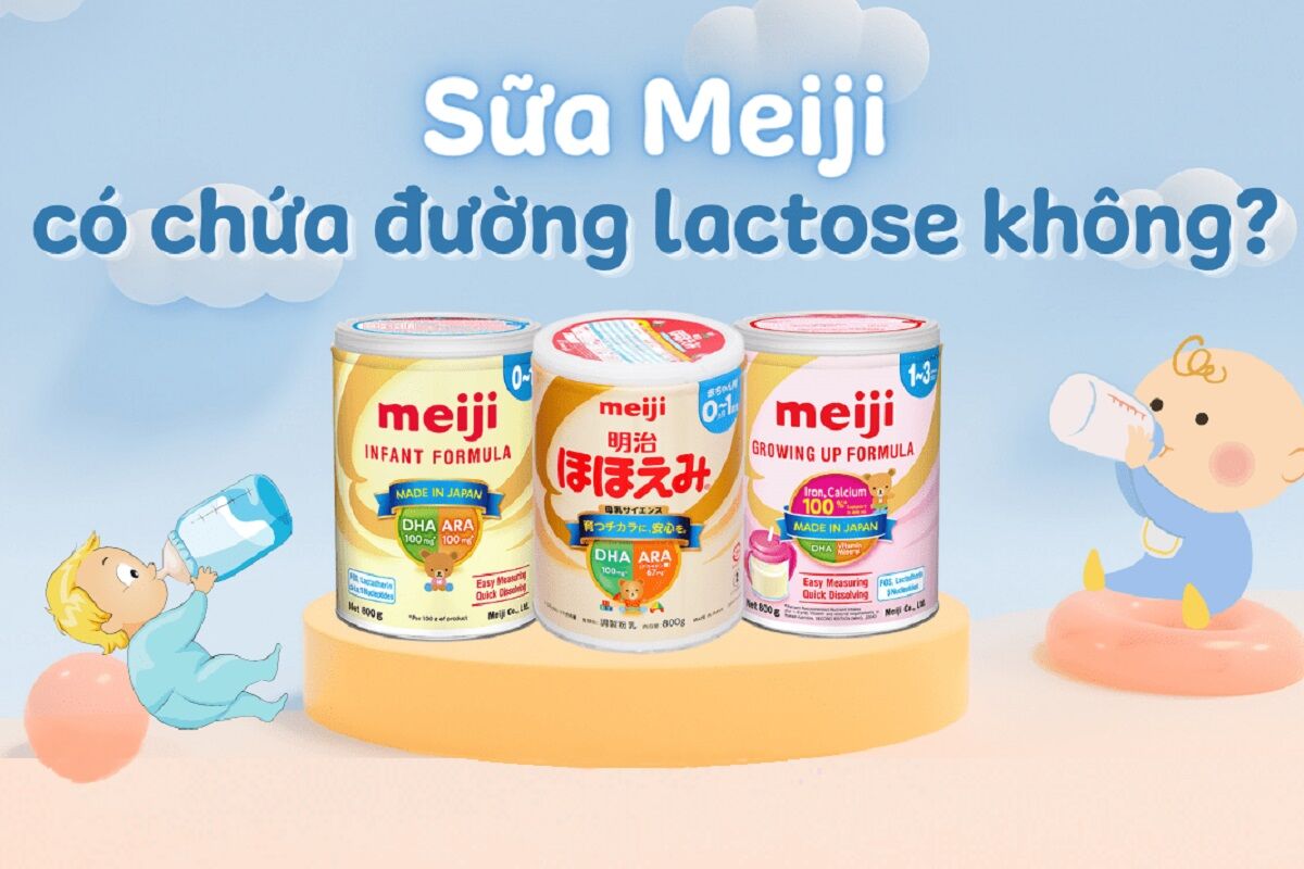 Giải đáp thắc mắc: Thành phần sữa Meiji đem Lactose không