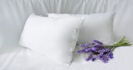 Gối hơi là gì? Hướng dẫn chi tiết cách sử dụng đúng