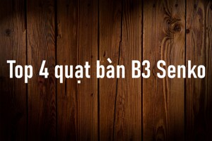 Gợi ý 4 mẫu quạt bàn B3 Senko được nhiều người ưa chuộng hiện nay
