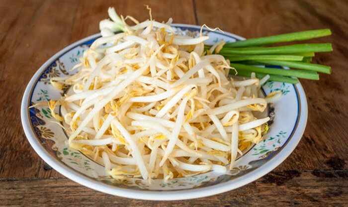 Gợi ý lựa chọn máy làm giá đỗ sạch chất lượng