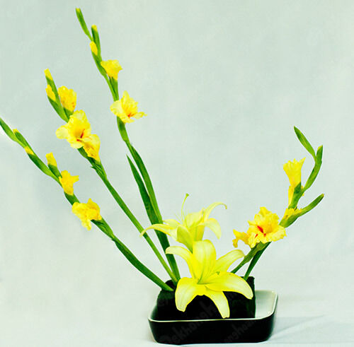 Gợi ý những cách cắm lay ơn đẹp cho dịp Tết