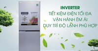 Gợi ý những tủ lạnh Panasonic inverter tốt nhất hiện nay.