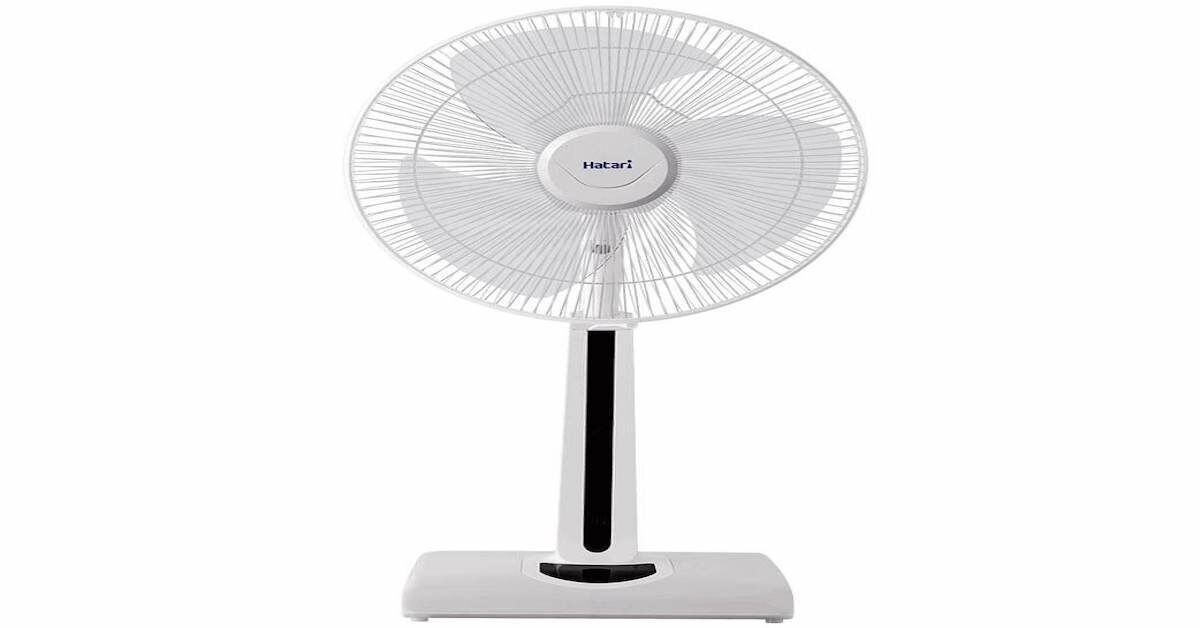 Gợi ý top 5 quạt cây Hatari đáng đồng tiền bát gạo để sở hữu