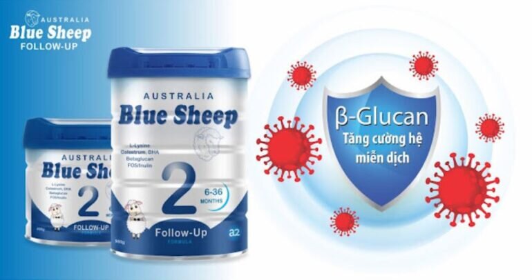 Sữa cừu Blue Sheep 2