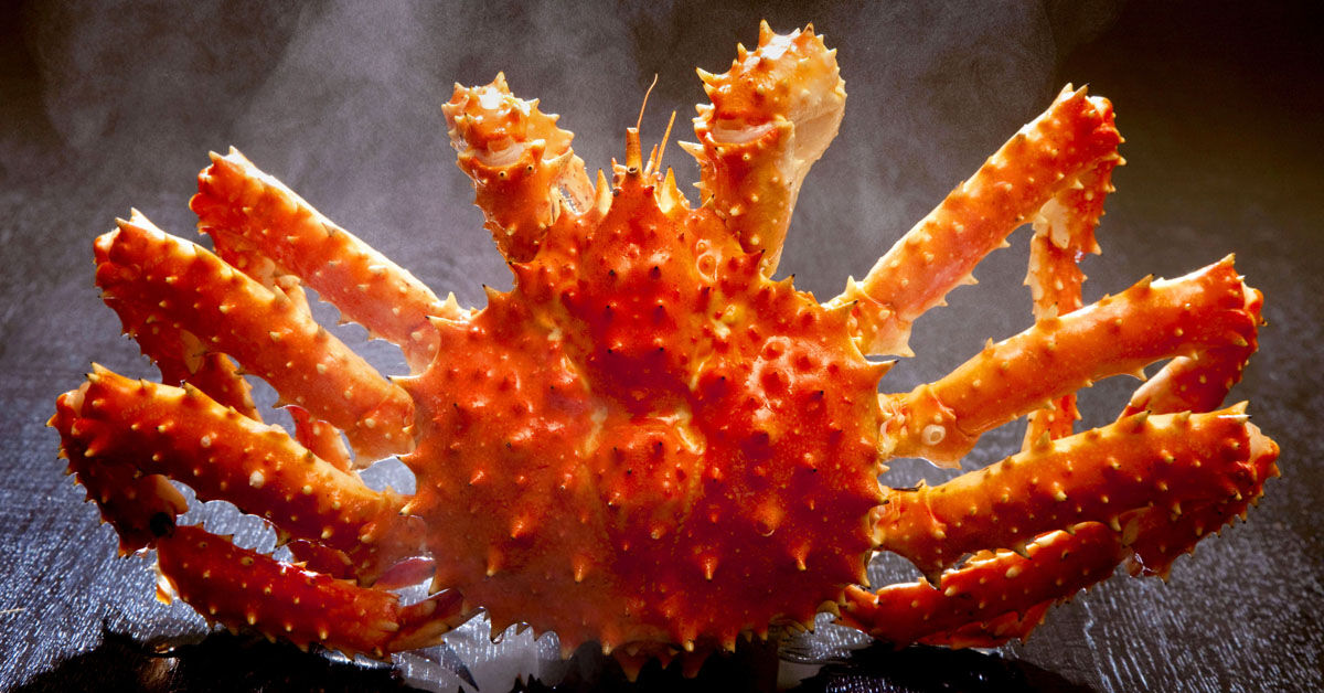 Hết tôm hùm Alaska, Cua Hoàng đế Alaska dự kiến sẽ tụt giá rẻ chưa từng có trong năm 2019 ?