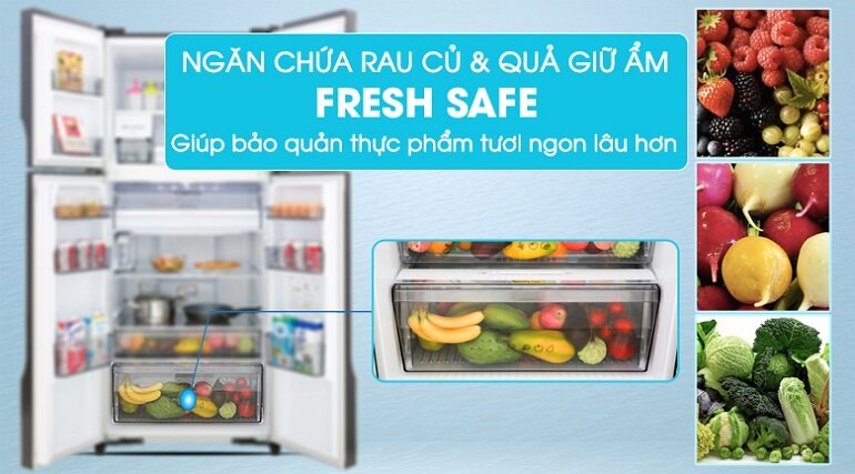 So sánh tủ lạnh Panasonic và Toshiba